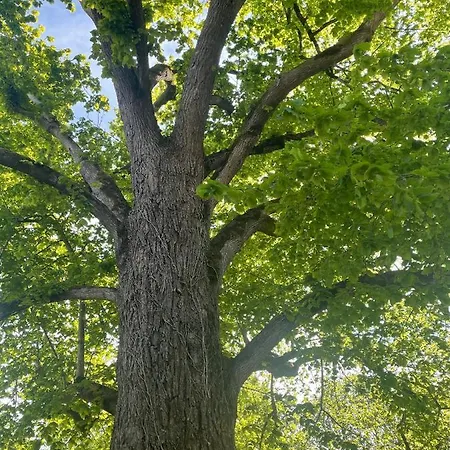 Le Maine N 5 - Angouleme - Harry Potter 3* Fleac